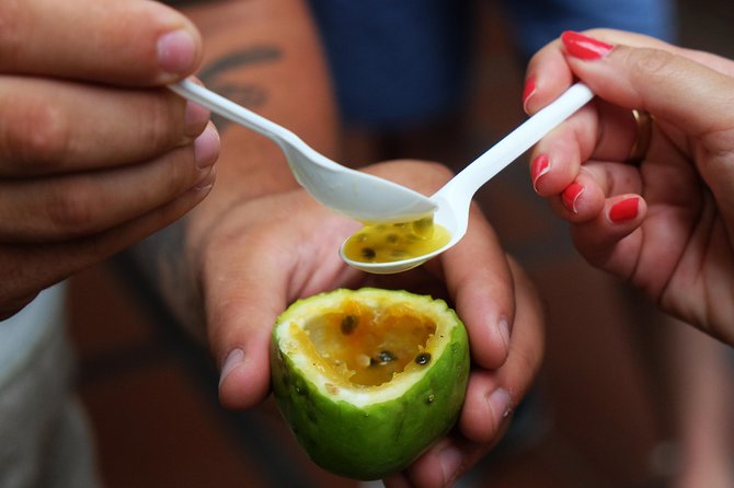 Taste Funchal: food, wine & cultural tour - Why this food walk is a smart introduction to Funchal