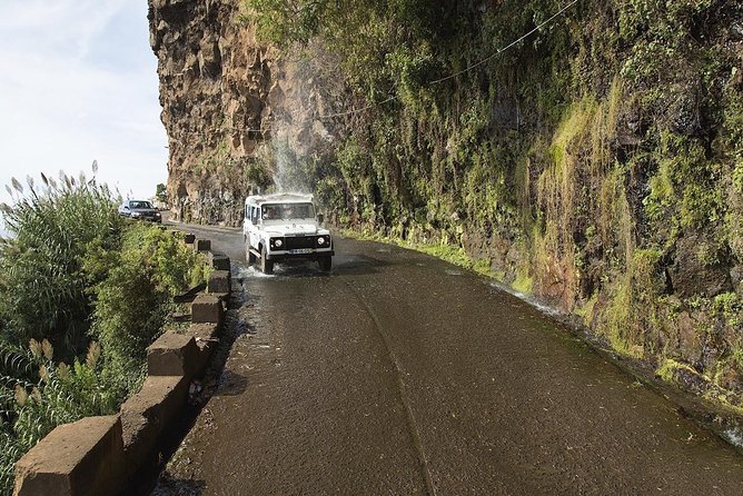 The Best of the South - Jeep Safari - Full Day - Shared Tour - The 4x4 trail through Madeira’s forest
