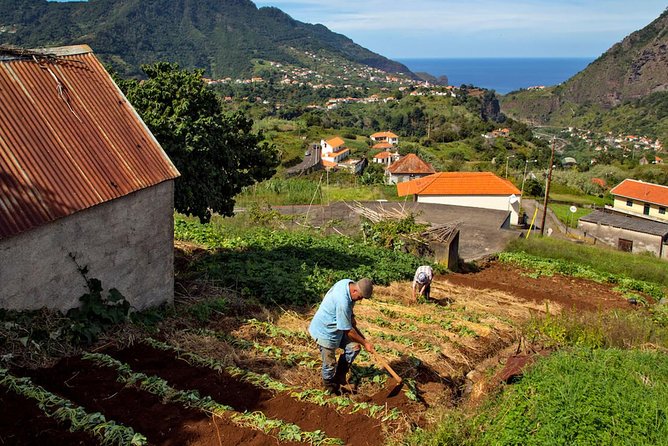 The Best of the South - Jeep Safari - Full Day - Shared Tour - Bananas, sugar cane, and Madeira’s working traditions