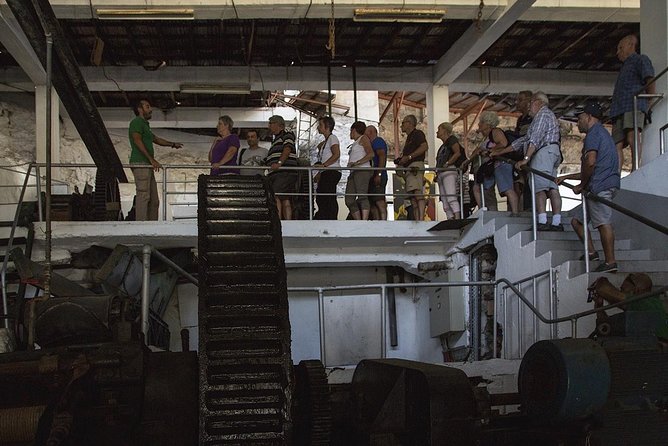 The Best of the South - Jeep Safari - Full Day - Shared Tour - Calheta rum factory and the sweet finish