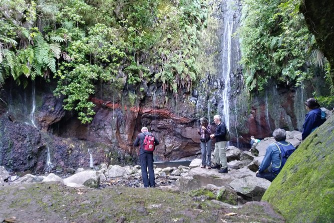 The Fantastic Cascades - Should you book The Fantastic Cascades?