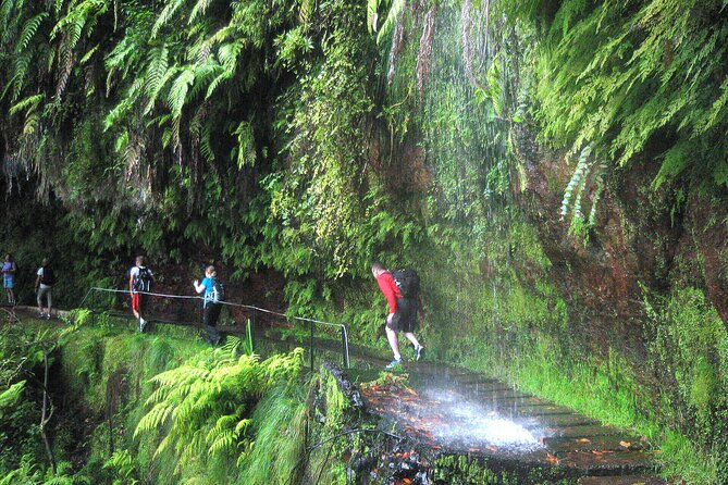 The King's Levada - Levada do Rei - Key points at a glance
