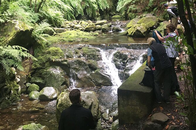 The King's Levada - Levada do Rei - Why the Levada do Rei is worth your day