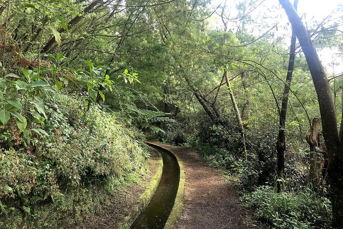 The King's Levada - Levada do Rei - Price and what the $53.23 includes