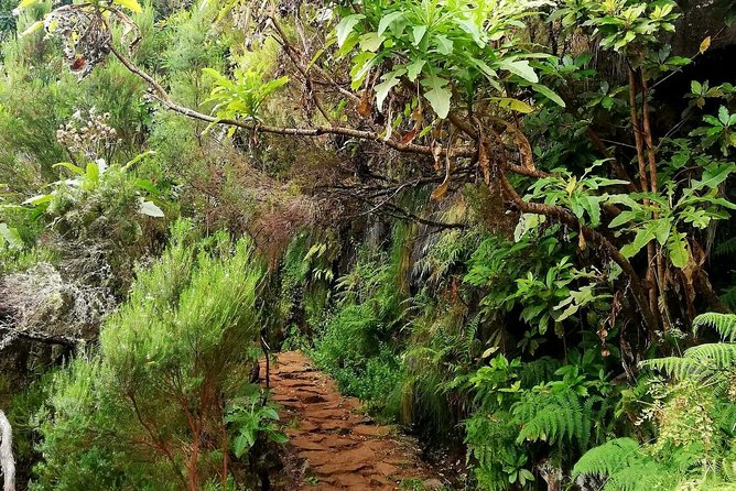 The Lakes Walk - From Paul da Serra to Madeira’s mountain water