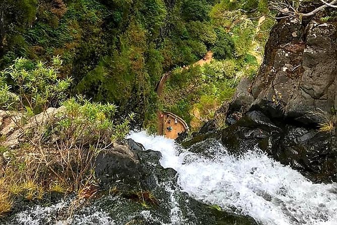 The Lakes Walk - Guides who add more than directions