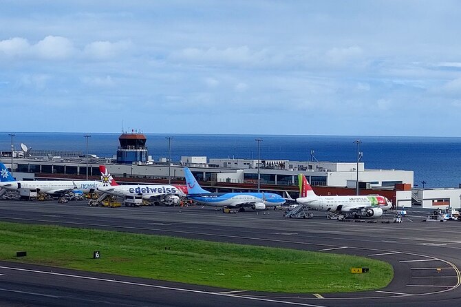 Transfer Privado e Confiável: Aeroporto → Funchal (ou vice-versa) - What the vehicle and driver experience are like