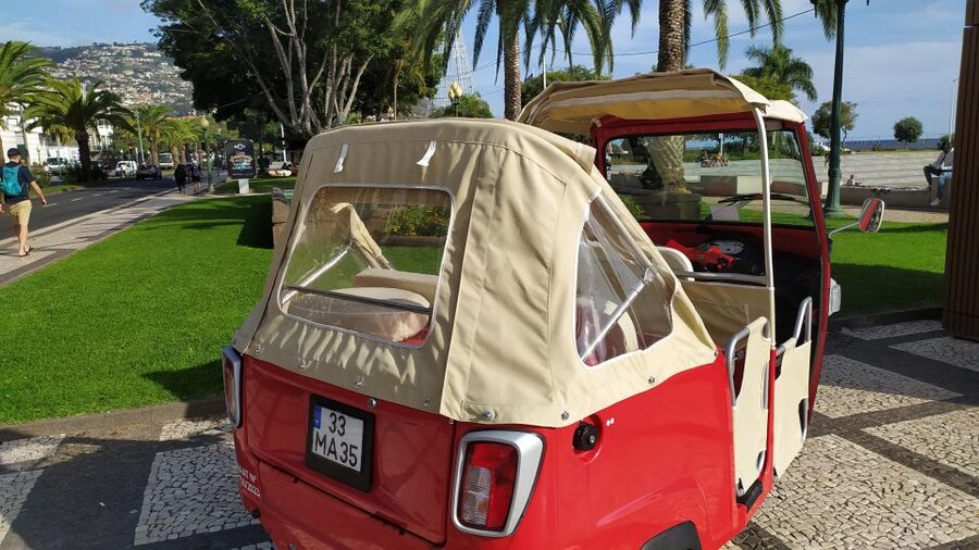 Tuk Tuk Monte Toboggan - Madeira Island - What the driver adds to the experience
