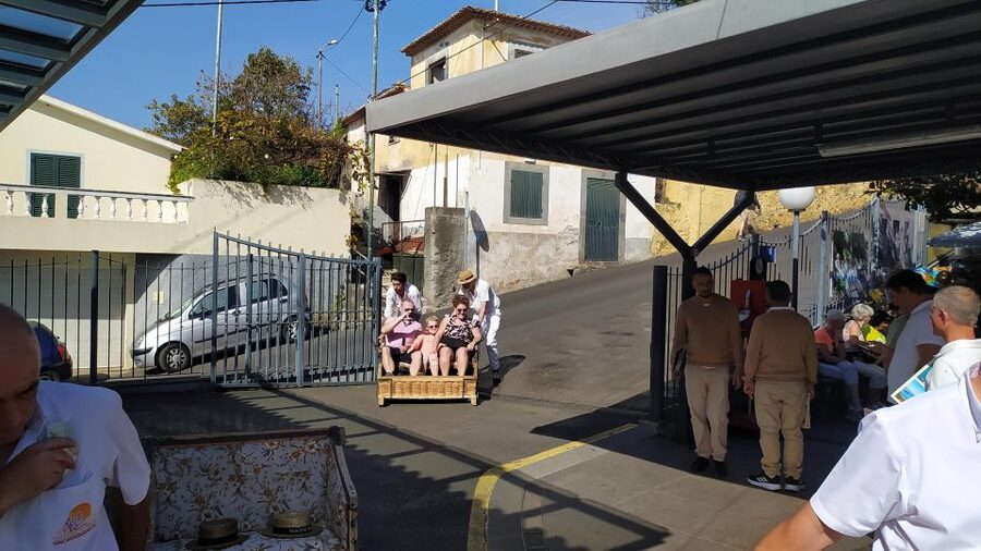 Tuk Tuk Monte Toboggan - Madeira Island - Who will get the most from this outing