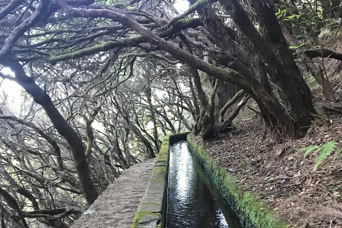 Twenty-Five Fountains Levada walks (private) - Why the private format matters on the 25 Fountains walk