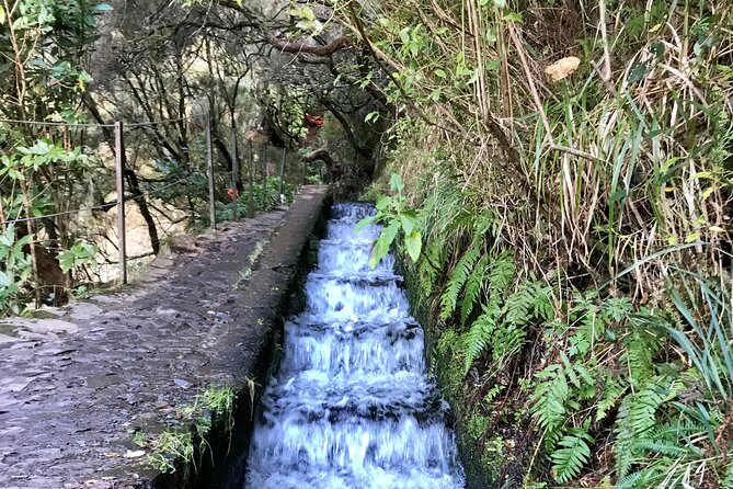 Twenty-Five Fountains Levada walks (private) - Stop two: Risco Waterfall