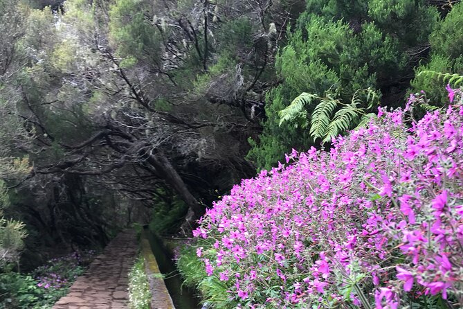 Twenty-Five Fountains Levada walks (private) - Pickup, timing, and the five-hour schedule