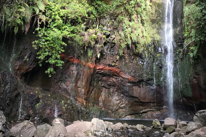 Twenty-Five Fountains Levada walks (private) - Walking through Madeira’s Laurissilva Forest