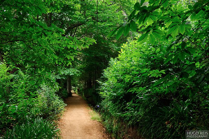 Vale Paraiso - Paradise Valley Walk - Key points to know before booking