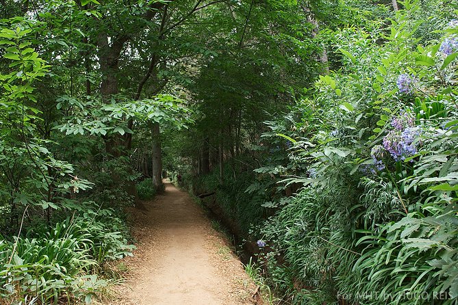 Vale Paraiso - Paradise Valley Walk - Why Paradise Valley works for a first Madeira walk