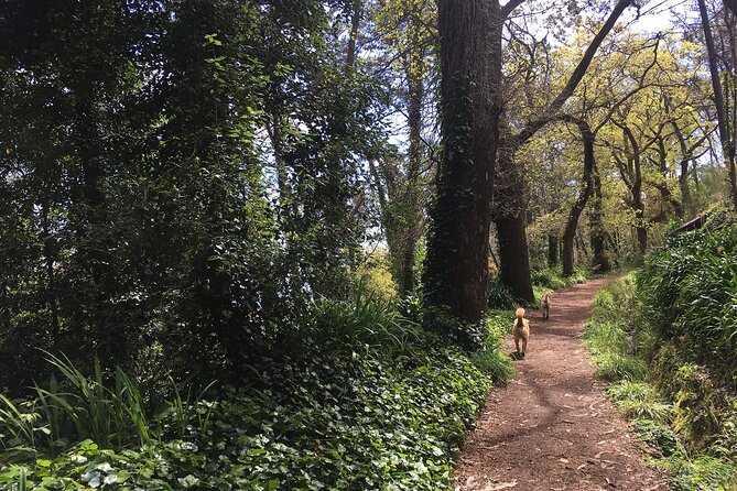 Vale Paraiso - Paradise Valley Walk - Who should book this walk?