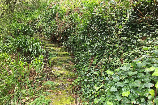 Vale Paraiso - Paradise Valley Walk - What you see along the levada