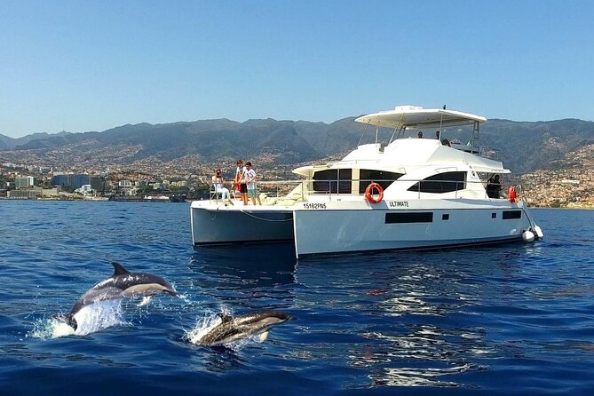 VipDolphins Luxury Whale Watching - A Small Catamaran Leaving Funchal Marina