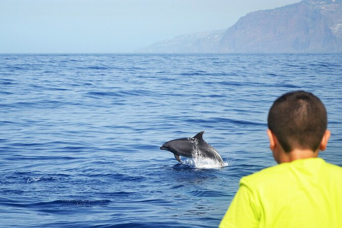 VipDolphins Luxury Whale Watching - Who Will Enjoy This Trip Most?