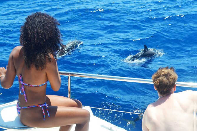 VipDolphins Luxury Whale Watching - Cabo Girao and the Swimming Stop