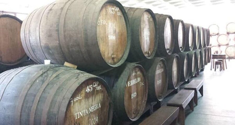 Visiting local Vineyard With Wine Tasting & Lunch included - The second tasting: five fortified Madeira wines