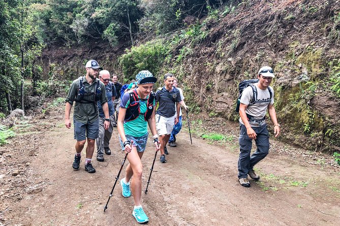 Walk with a local - A flexible walk through Madeira’s wild side