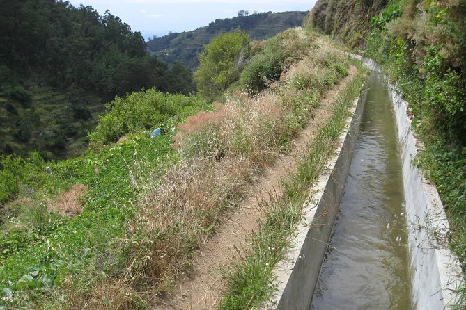 Walking Experience in the Serra D'Água Valley - Who will enjoy this Madeira walk most?