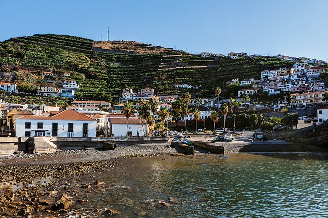 West Madeira Island Guided Tour & Fanal Mystic Forest - Câmara de Lobos and a first taste of Madeira