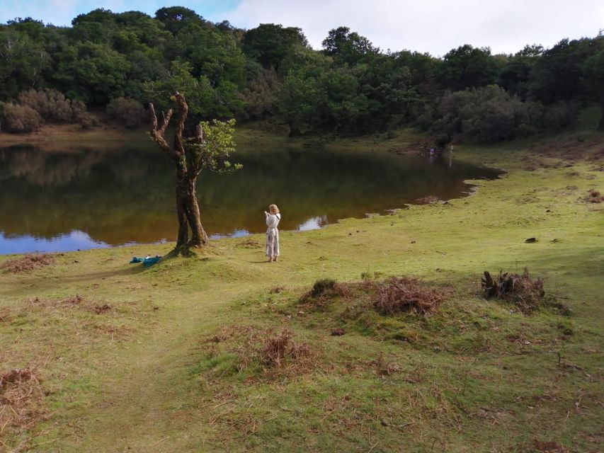 West Madeira:, Laurel Forest, Waterfall, Rock Pools, Walk - Five things to know before you book