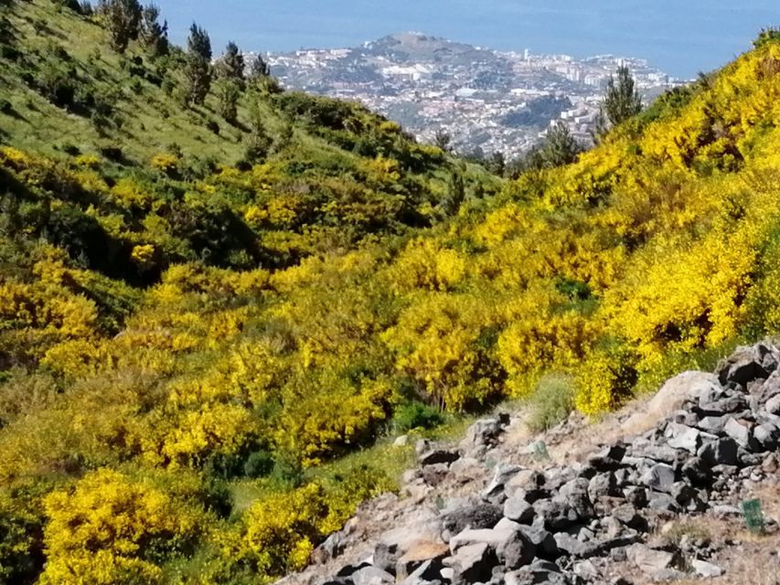 West Madeira:, Laurel Forest, Waterfall, Rock Pools, Walk - Ribeira Brava brings a slower half hour