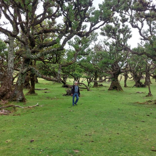 West Madeira:, Laurel Forest, Waterfall, Rock Pools, Walk - Porto Moniz gives you time to swim