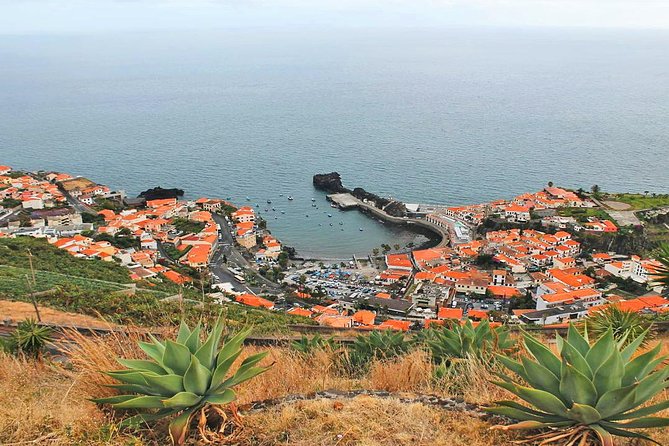 West Tour-Fanal Forest & Porto Moniz Natural Pools Small Groups - Ribeira Brava and the farmers market