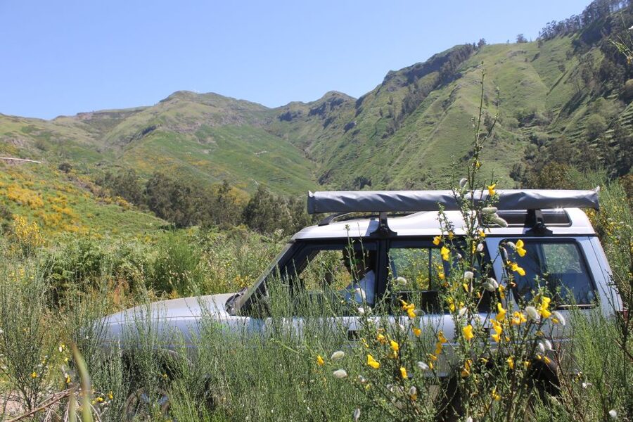 West Tour Full day 4x4 Jipe Tour Natural Swimming Pools - Key points at a glance