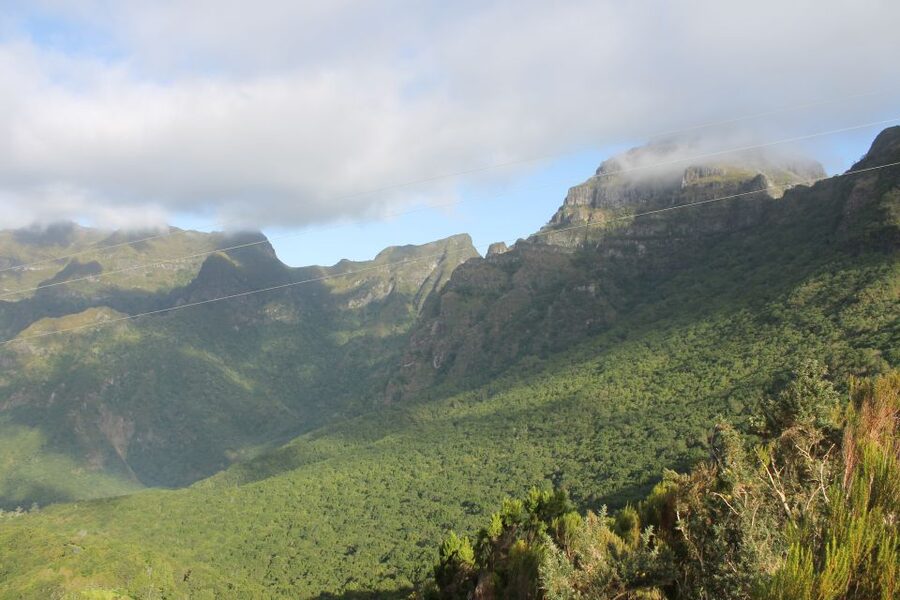 West Tour Full day 4x4 Jipe Tour Natural Swimming Pools - Guides, vehicles, and the pace of the day