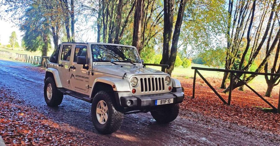 West tour - Porto Moniz VIP 4X4 Wrangler Tour 8h trip - Paúl da Serra reaches the island’s high country
