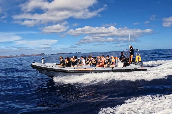 Whale and Dolphin Watching Tour from Funchal - Practical Details That Matter in Funchal