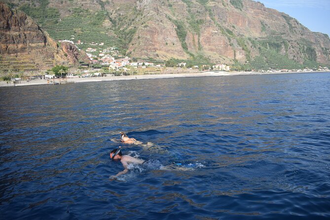 Whale and Dolphin Watching Tour in Madeira - What the small-group format really means