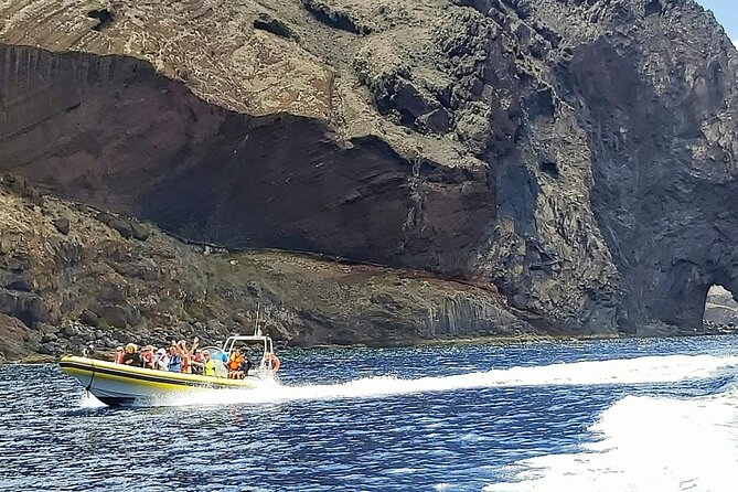 Whale & Dolphin Watching in Madeira - Who will enjoy this Madeira boat trip?