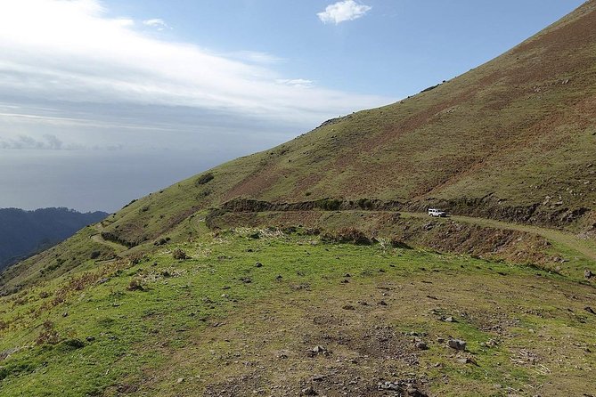 Wine + Dolphin Watching - Full Day- Shared Tour - Who will enjoy this Madeira tour most