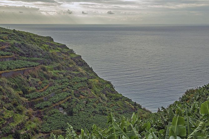 Wine + Dolphin Watching - Full Day- Shared Tour - Price, extras and practical value