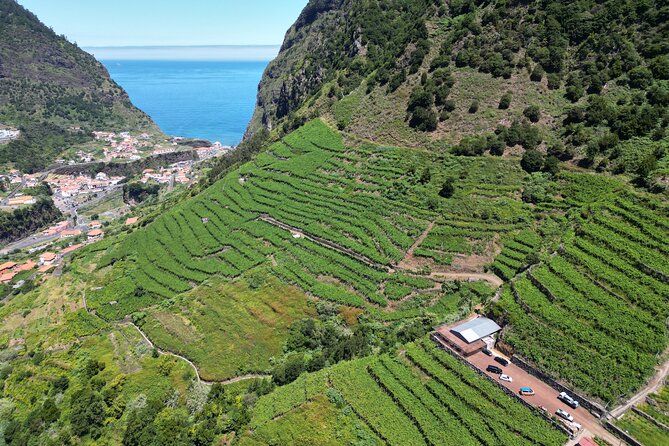 Wine taste, 4x4 Jeep Adventure and Cabo Girão Skywalk - What this 3.5-hour Madeira tour is really like