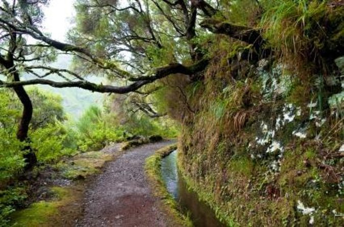 Wine Tasting Experience in Boaventura, Madeira North Coast - Meeting Marco and María at Terra Bona