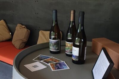 Wine Tasting Experience in Boaventura, Madeira North Coast