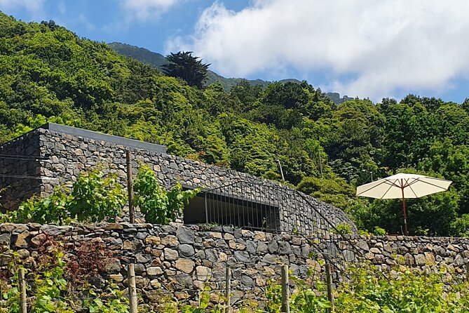 Wine Tasting Experience in Boaventura, Madeira North Coast - Laurissilva forest, stream sounds, and sea views