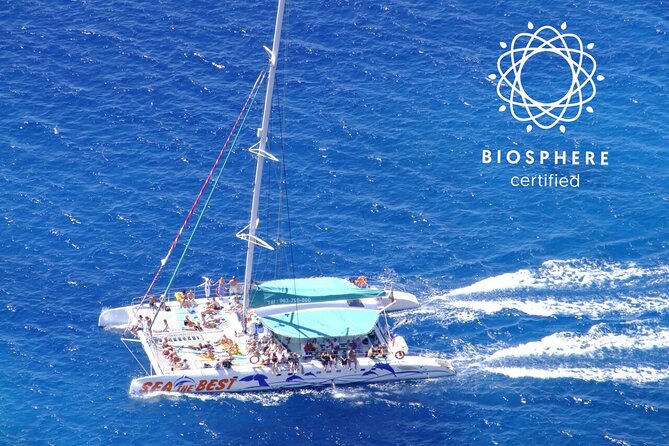 Wines Tasting Experience and Skywalk with Dolphin Watching - A full Madeira day, split between road and sea