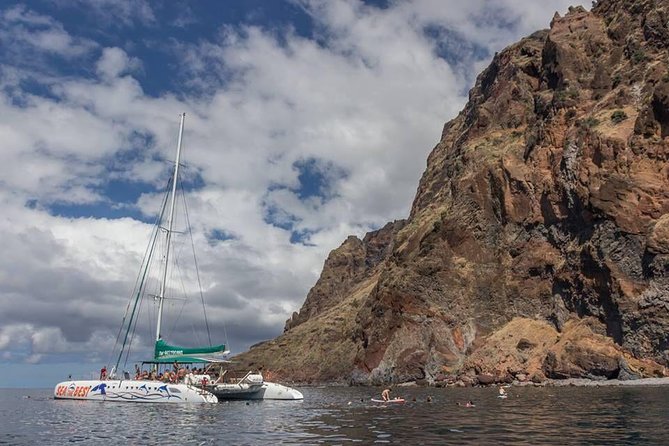 Wines Tasting Experience and Skywalk with Dolphin Watching - Dolphin and whale watching by catamaran